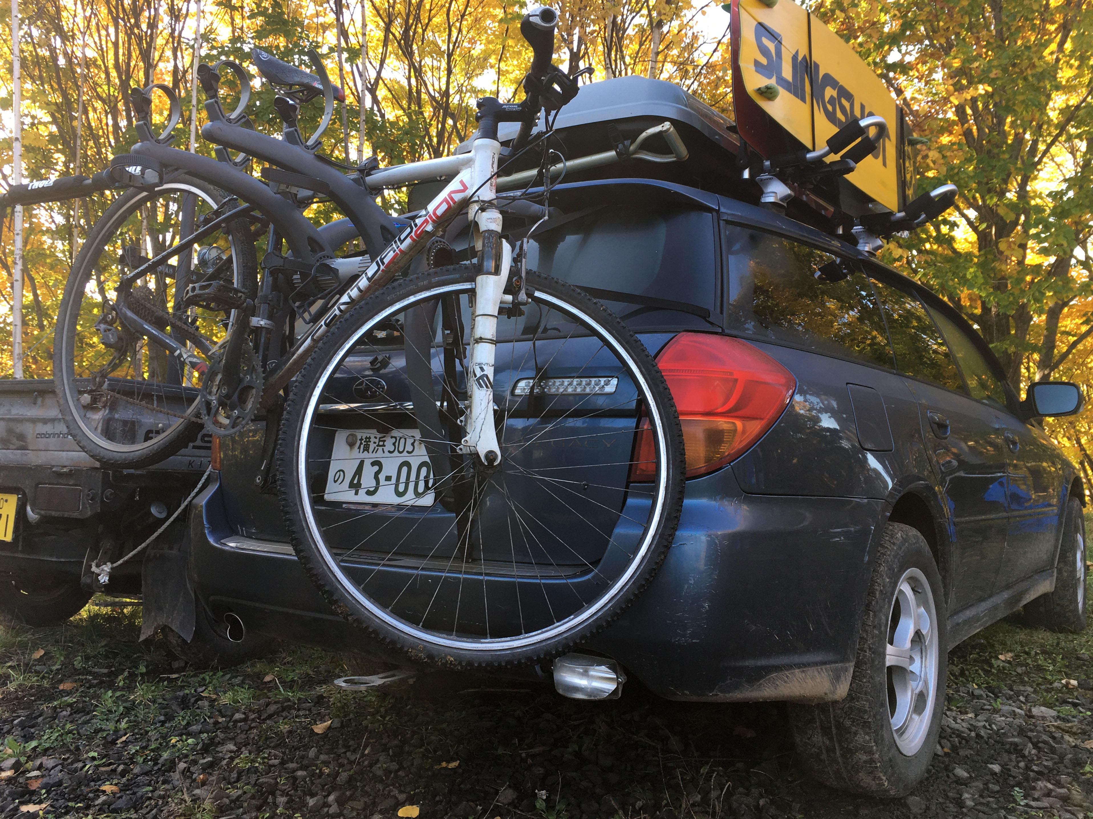 Rear cycle carrier