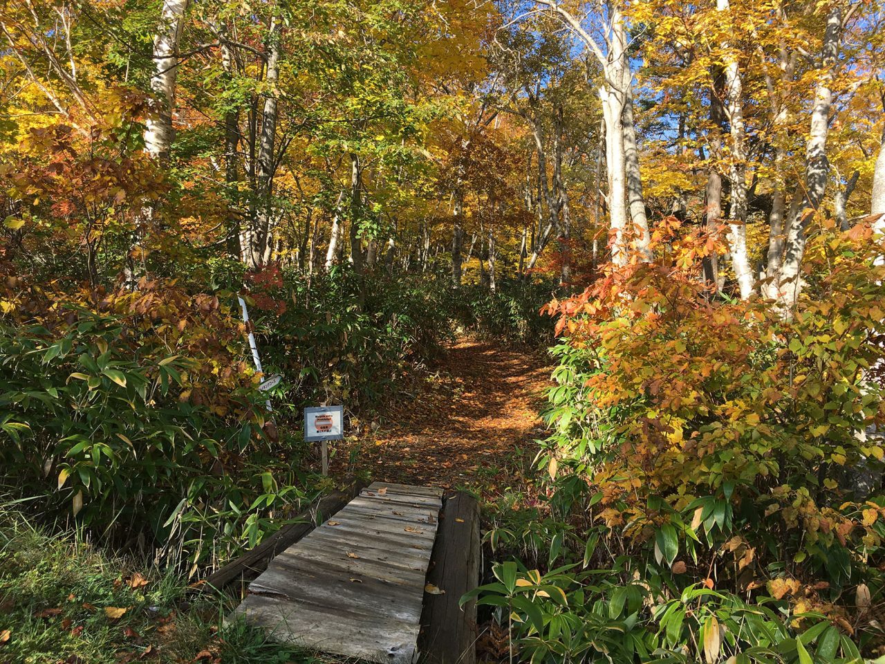 Entrance to the hiking trail