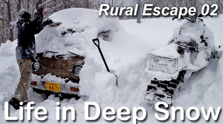 Life in Deep Snow